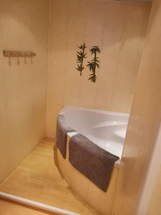 Maison Vosgienne 2 A 8 Personnes Rochesson Экстерьер фото